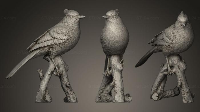 Bird figurines (Geai, STKB_0105) 3D models for cnc